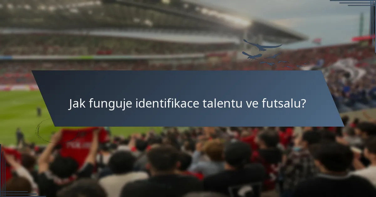Jak funguje identifikace talentu ve futsalu?