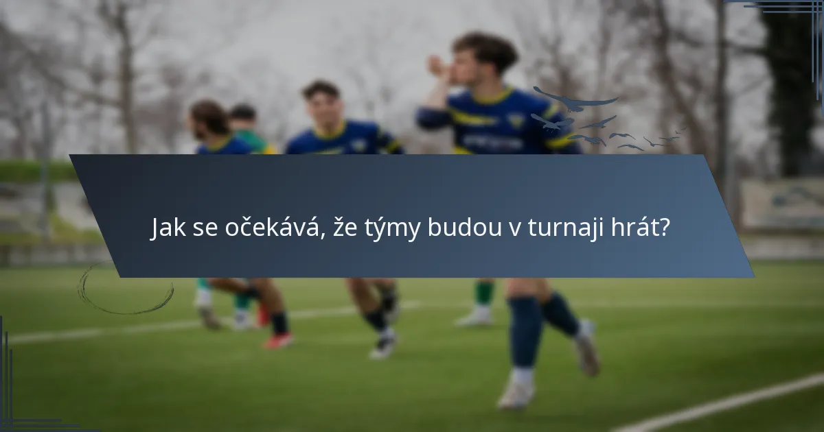 Jak se očekává, že týmy budou v turnaji hrát?