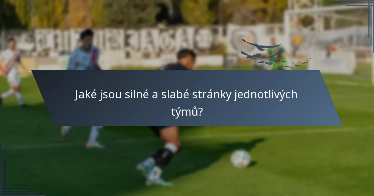 Jaké jsou silné a slabé stránky jednotlivých týmů?
