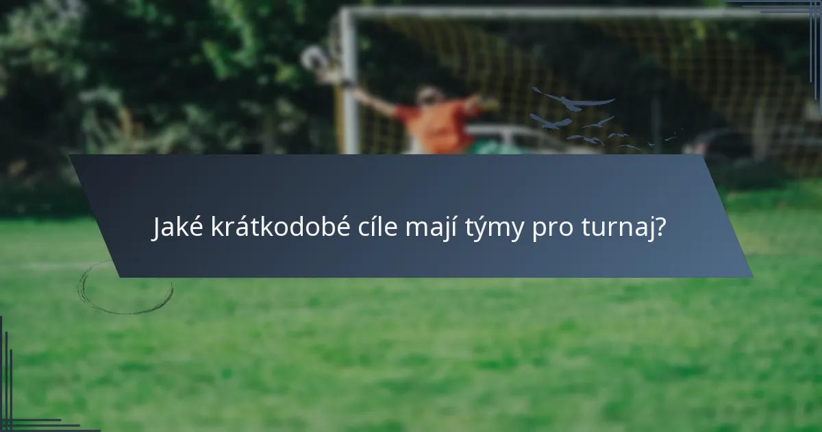 Jaké krátkodobé cíle mají týmy pro turnaj?