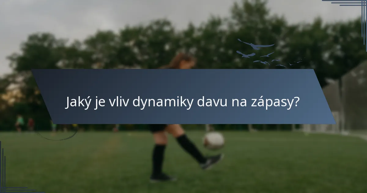 Jaký je vliv dynamiky davu na zápasy?